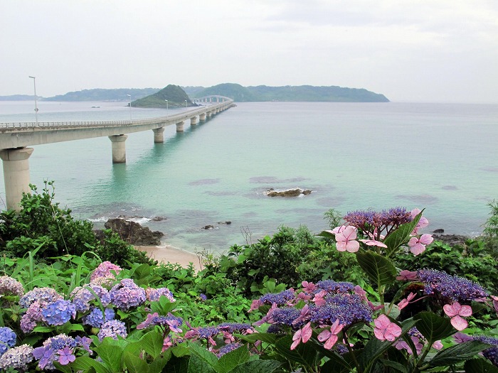『初夏の角島大橋』第27回フォトコンテスト優秀 撮影：安井水道工業所 安井 孝 氏