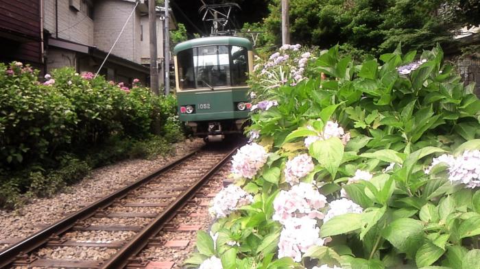 『電車の風でゆれる紫陽花』第31回フォトコンテスト入賞 撮影：恵北設備工業㈱  　　　 小林 豊 氏